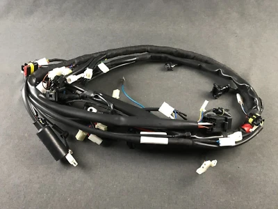 NUEVO TELAR CABLEADO GENUINO MOTO GUZZI sport 1200 977875 Foto 1 de 4