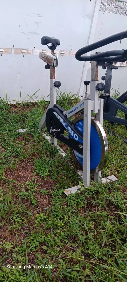 BICICLETA DE EXERCÍCIO GOLD GYM - Imagem 1 de 1