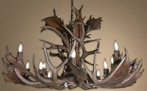 ANTLER CHANDELIER, REAL ANTLER FALLOW & MULE DEER SINGLE TIER CHANDELIER FMSTXL - Picture 1 of 3