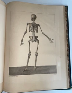 ANATOMIE DE L'HOMME OSTEOLOGIE SYNDESMOLOGIE 1831 BOURGERY 52 PLANCHES TOME 1 - Picture 1 of 15