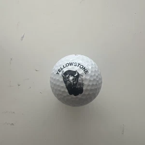 Yellowstone golf ball bison tournament tour 2 collectible national parks - Picture 1 of 2