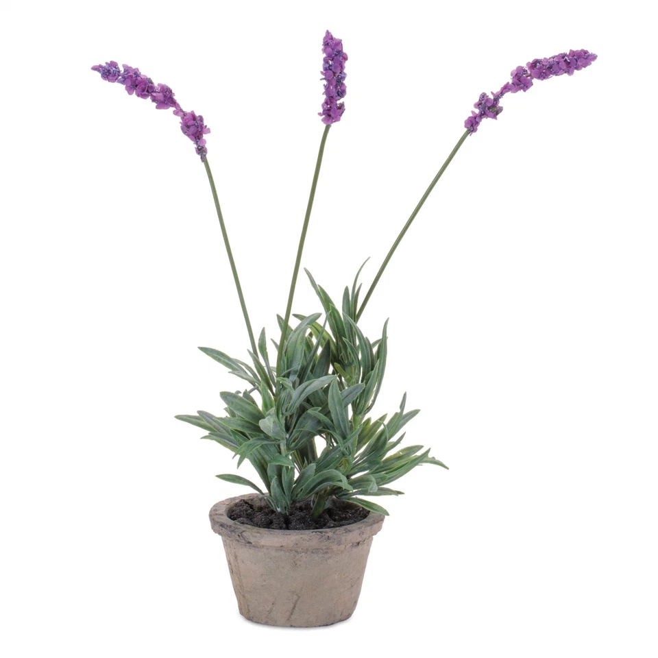 Melrose Potted Lavender 14.5"H - Image 1 of 1