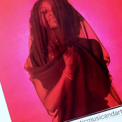 NEAR MINT BEAUTIFUL COVER 1976 ORIGINAL LALO SCHIFRIN BLACK WIDOW VINYL LP NM - Image 1 of 4