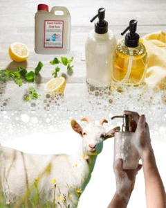 Castile Liquid GOATS MILK Soap Base Ready To Use (SLS / Palm Free) - Bild 1 von 12