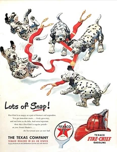1951 Cinco cachorros Dalmation jugando con tirantes arte Texaco anuncio impreso vintage - Imagen 1 de 1