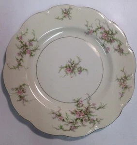 Theodore Haviland New York Rosalinde 10 1/2" Dinner Plate KitchenGnu - Picture 1 of 12
