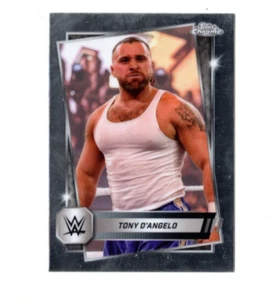 2 count lot 2025 Topps Chrome WWE Tony D'Angelo Cards #57 WWE NXT LOT - Picture 1 of 1