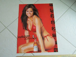 Brooke Burke Budweiser Beer Anheuser-Busch Sexy Girl Wild on Bud 19'' x 27'' - Picture 1 of 1