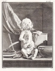 Chat siamés gato gato salvaje gato salvaje grabado en cobre Buffon 1780 - Imagen 1 de 1