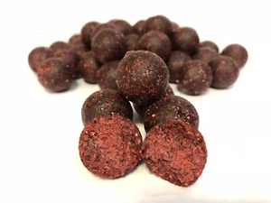 CE Carpfood Instant Boilies 20mm Red Shellfish 5Kg - Futterboilies (3€/Kg) - Bild 1 von 1