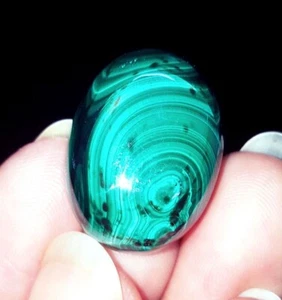 Natural Malachite Cabochon 31.97 Ct Loose Gemstone Oval Cut Certified Ring Gems - Picture 1 of 8