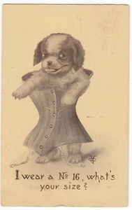 Cute Dog Wearing Corset, "I wear a No.16", Comic Artist Signed V. Colby Postcard - Picture 1 of 2