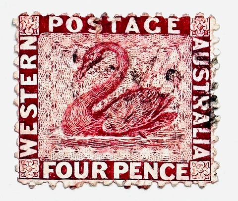 WESTERN AUSTRALIA Stamp - 1882  Black Swan 4p Scott 51 Used Cover