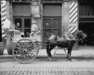 Horse Drawn Milk Cart 1910 Vintage 8x10 Reprint Of Old Photo - Bild 1 von 1