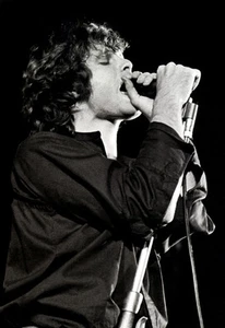 Póster Jim Morrison, The Doors, cantante y compositor - arte de pared - Imagen 1 de 5