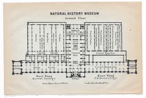 1911 Plan of Natural History Museum London britische Karte - Bild 1 von 1