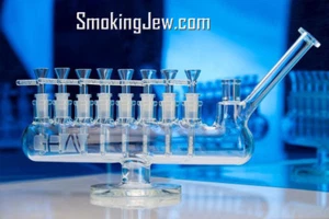 SmokingJew.com Premium domain  - HostGator Smoking Jew WOW Yeah! URL - Picture 1 of 1