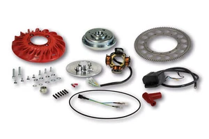 MALOSSI 5517175 ACCENSIONE VESPOWER CONO Ø 20 VOLANO KG. 1,2 VESPA PX 150 euro 1 - Picture 1 of 2