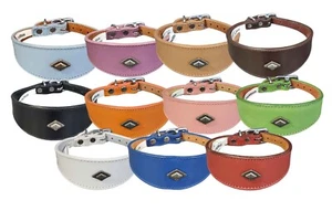 Leather Collar For Whippet Greyhound Lurcher Decorative Stud Design DS 1 - Picture 1 of 48