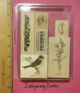 Stampin Up FRIENDS 24-7 elegante pájaro floral en rama borde acento - Imagen 1 de 2
