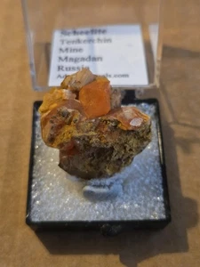 Schönes Scheelite Thumbnail Exemplar - Bild 1 von 3