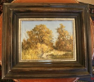 Bonita pintura de Josef Schebenbogen - óleo sobre lienzo, motivo de paisaje - Imagen 1 de 6