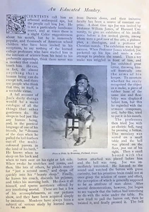Joe el mono 1897 ilustrado - Imagen 1 de 3