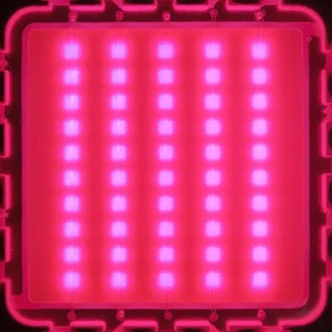 10W 20W 30W 50W 100W Full Spectrum 400~840nm LED Lamp Light Bulb Plant Aquarium - Picture 1 of 11