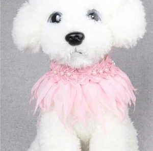 Pink Fancy Girl Dog Collar With Metal Buckle for Small Dog or Cat - Picture 1 of 3