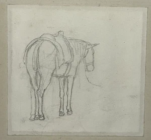 Pferd Original Zeichnung Charles Muller Soehnee ANIMALIA XIX° - Bild 1 von 3