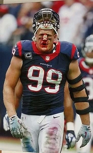 NFL Houston Texans - J.J. Watt (16" x 24") Framed Canvas Print, New - Picture 1 of 2