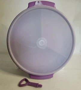 TUPPERWARE Suzette Divided Veggie/Relish/Nuts Snack Tray Purple Lilac #608 - Picture 1 of 8