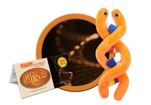 ADN de microbios gigantes (ácido desoxirribonucleico) - Imagen 1 de 4