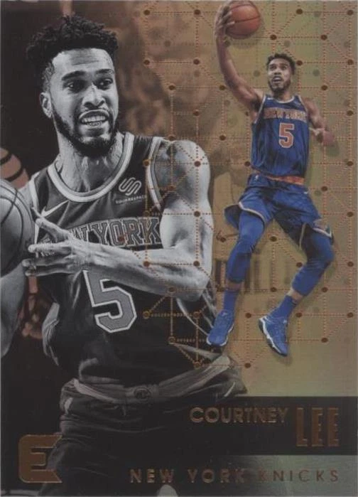 2017-18 Panini Essentials - Courtney Lee #194