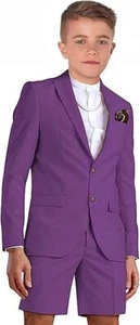 Shorts Suit for Boys Summer Casual 2Pcs Beach Wedding Tuxedo Suit Kids Slim Fit - Picture 1 of 26