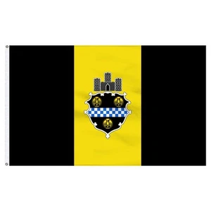 Bandera de nailon Pittsburgh City 5'x8' - Imagen 1 de 1