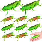 10pcs Green for Kids Halloween Party Favors