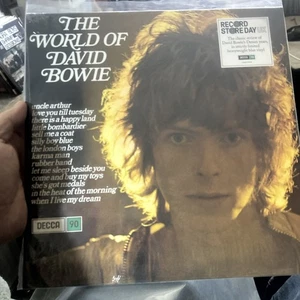David Bowie The World of David Bowie Vinyl LP RSD 2019 NEW - Picture 1 of 3