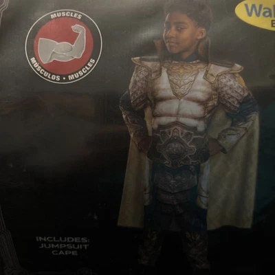 Disfraz Niños S 6/7 Mazmorras y Dragones Completo Xenk Disfraz Halloween Foto 1 de 4