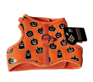 New Halloween Glow In Dark Cat Small Dog Pet Harness Pumpkin Thrills & Chills 🎃 - Picture 1 of 9