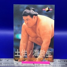 Tosanoumi Toshio Sumo Wrestler Trading Card BBM 1998 TCG Vintage Japanese #92
