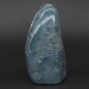 397g Natural Gems Moss Agate Palm Stone Crystal Materials Specimen Rock Decor - Picture 1 of 5
