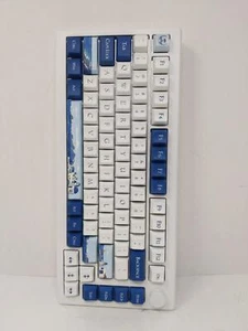Teclado Santorini para PC Akko MOD007B - Interruptor magnético rosa Kailh Sakura - Imagen 1 de 6