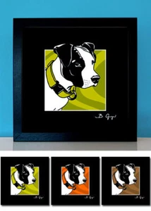 American Staffordshire Terrier Bild Hund Fotos pop dogs Hundeportrait Tierbilder - Bild 1 von 5