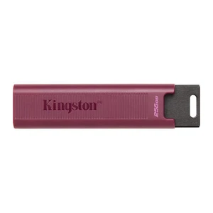 Kingston DataTraveler Max Type A 256GB High Performance USB Flash Drive - Picture 1 of 6