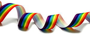 0,99Euro/ Meter Regenbogen Geschenkband Stoffband/ Haarband/ Verschiedene Längen
