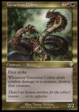 4x Voracious Cobra ~ Lightly Played Invasion MTG Magic x4 4 UltimateMTG Playset