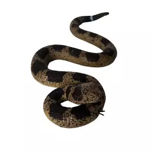 Fake Snakes Toy Realistic Rubber Reptiles for Garden Bird Squirrel - Picture 1 of 14