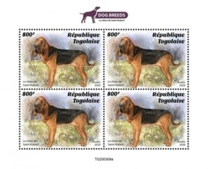 Togo - 2020 Bloodhound Dog Breed - 4 Stamp Sheet - TG200309a - Picture 1 of 1
