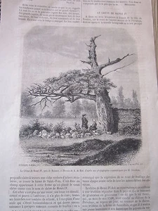 Le Chêne de Henri IV 1878 Gravure Article de presse - Imagen 1 de 1